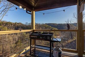 Gas Grill Smokies Cabin