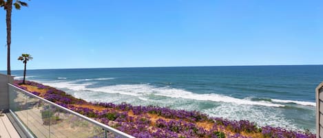 Expansive Deck with 180 Degree Views - Come watch the surfers and dolphins play!