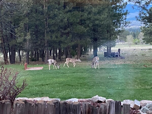 View from the Dining Room