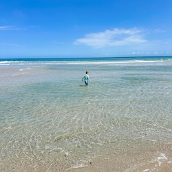 Cape Lookout is jaw dropping and the shelling is unbelievable!! Rent an ATV!