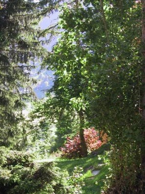 Oklassificerad bild, 4 av 16, knapp