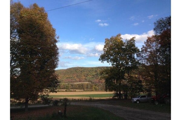 Terrain de l’hébergement 