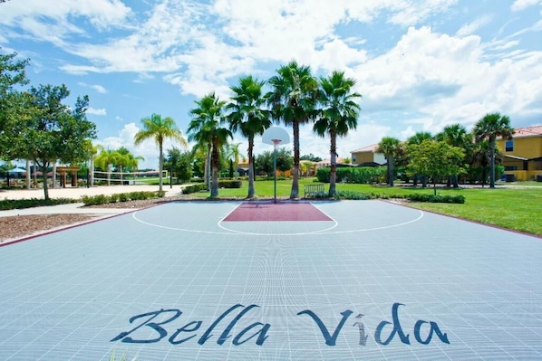 Basketball court