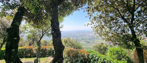 Vista panoramica sulla Valdinievole 