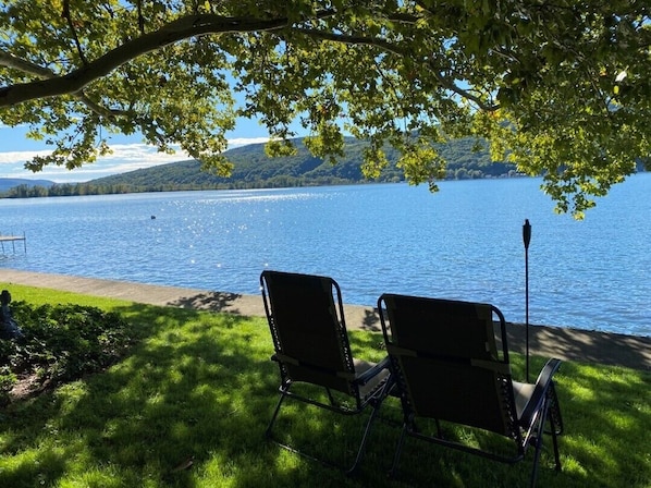 Relax by the lake under our sycamore tree