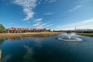 Beautiful fountains in the ponds