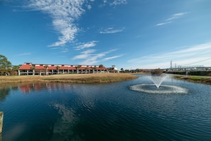 Beautiful fountains in the ponds