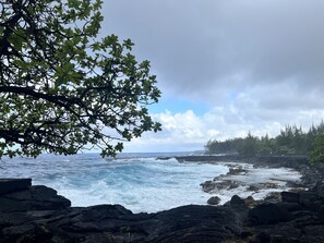 Sekalaista