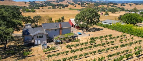 This home offers stunning views of vineyards, Felder Creek, and Sonoma hills.
