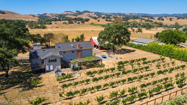 This home offers stunning views of vineyards, Felder Creek, and Sonoma hills.
