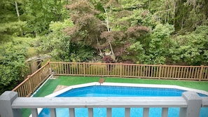 A secluded pool surrounded by lush nature.