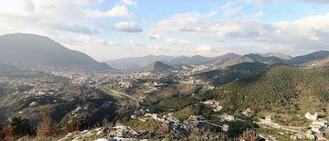 施設の敷地