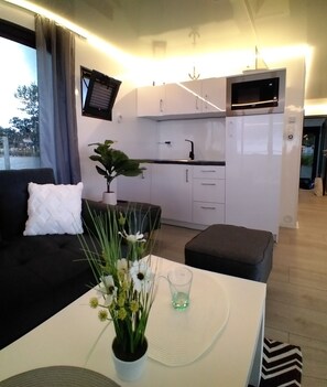 Wohnzimmer mit Kochnische