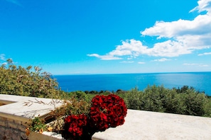 Vue depuis l’hébergement