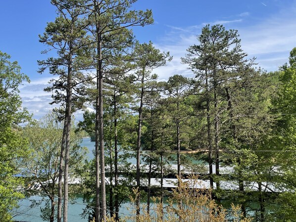 Beautiful Lake Views above Sugar Hollow Marina.