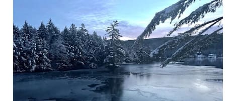 Winter lake view