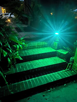 Lighted  steps and landscape lighting