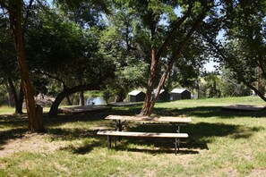 Shared Picnic Table