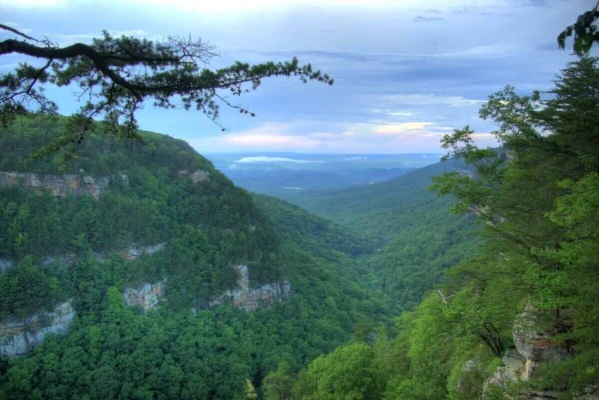 Sweet Seclusion Summa