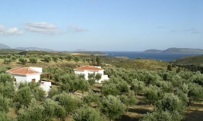 Two bedroom villa in 9000m2 olive grove, pool, sea views. seabreezegr.com