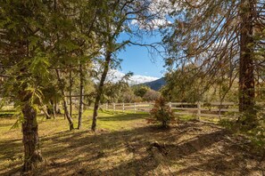 Welcome to The Oak. The quiet and beauty of nature surrounds this lovely home.