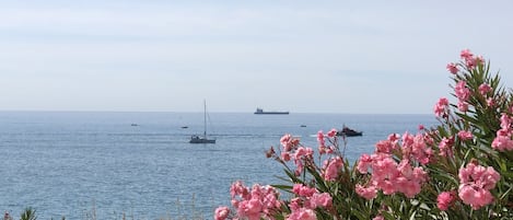 Vue du balcon