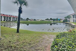 Patio View