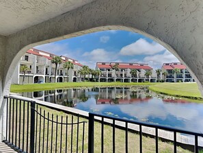 Patio View
