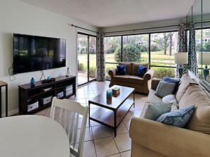 Living Room View and TV