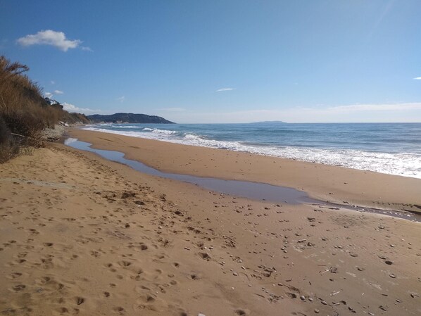 Strand