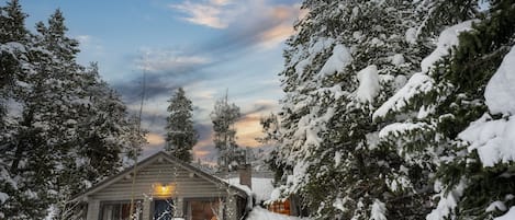 Modernized, Real-Log Homestead