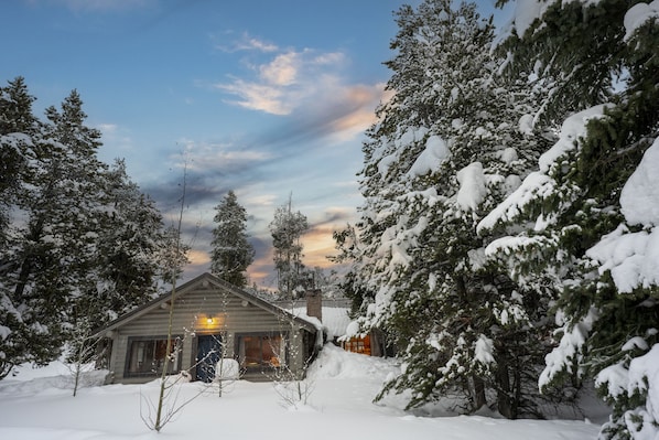 Modernized, Real-Log Homestead