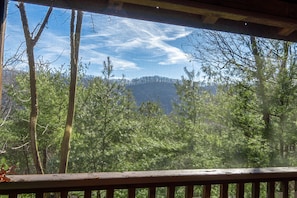Blue Ridge Mountain Views from Screened in Top deck, bug free & Great views