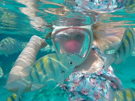 Divers