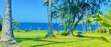Kahakai Park 5 min drive from VRBO perfect place to relax & enjoy the ocean view