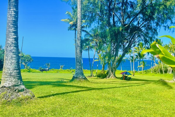 Kahakai Park 5 min drive from VRBO perfect place to relax & enjoy the ocean view