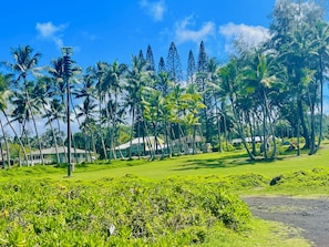 Kahakai Park 5 min drive from VRBO