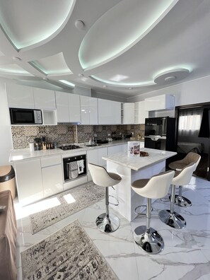 Modern European-style kitchen 