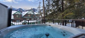 Mountain views from the private hot tub