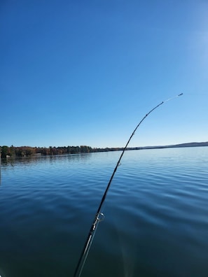 Enjoy Lake Bellaire.