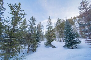 Unobstructed forest views!