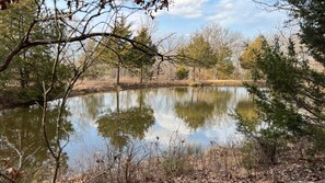 Pond 