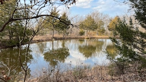 Pond 