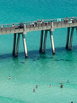 Pier with Manatees (1)