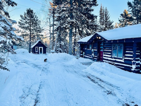 Winter Wonderland