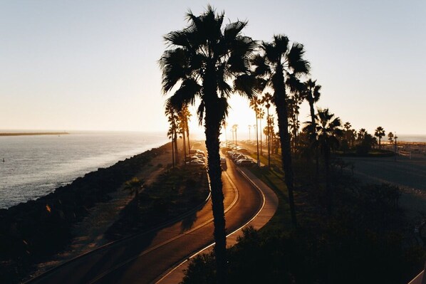 Pacific Coast Highway
