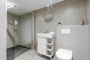 Modern bathroom with walk-in rain shower