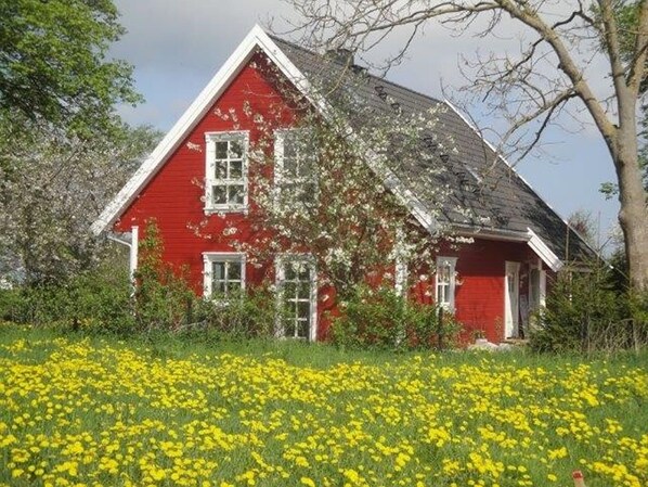 Exteriör