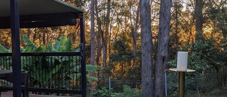 Springbrook National Park outlook