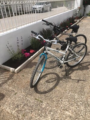 施設の敷地